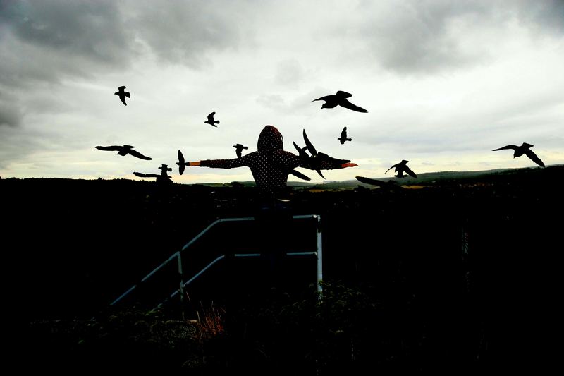 Spread your wings and fly ..........