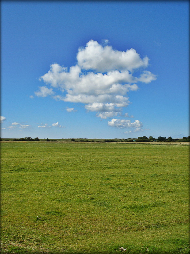 Sprechblasen-Wolke