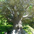 Sprechender Baum Efteling (Niederlanden)