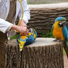 Sprechstunde bei Dr. Zoolittle