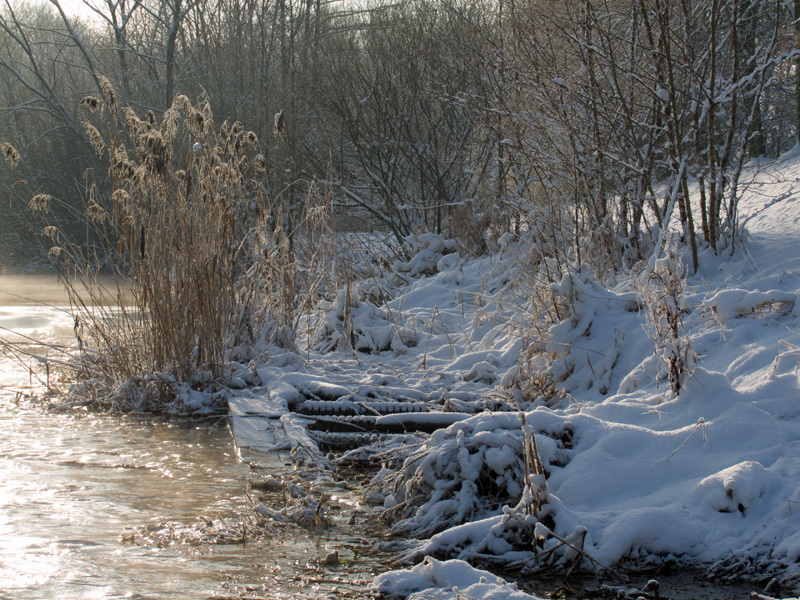 Spree bei Cantdorf