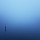 Spree im Nebel