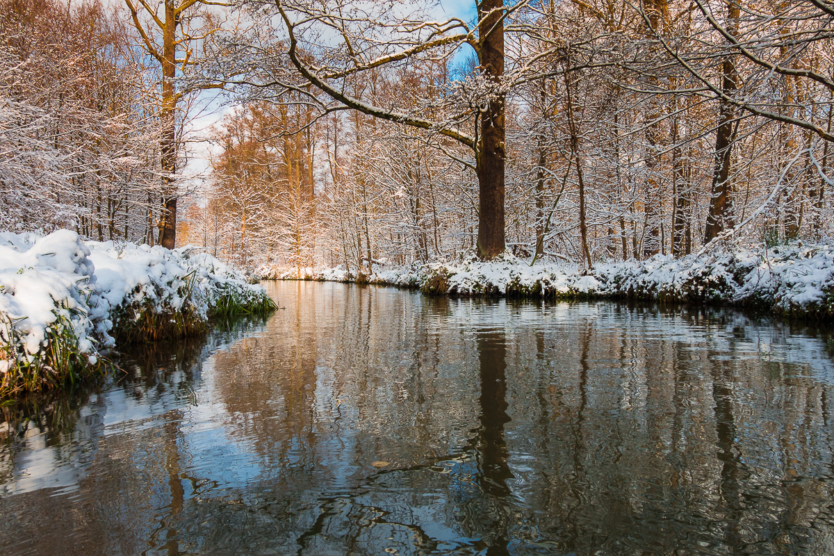 Spree im Schnee