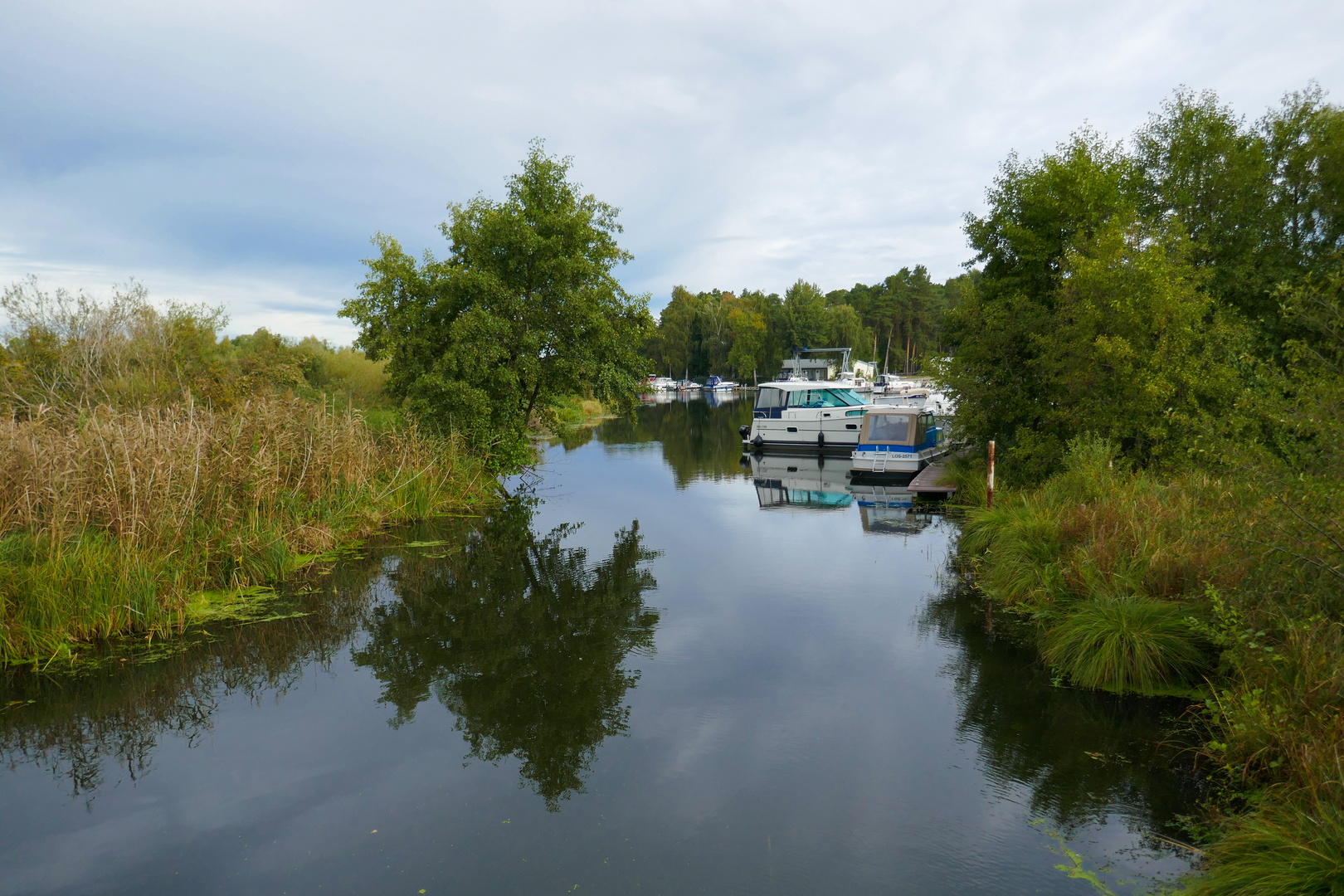 Spree in Brandenburg