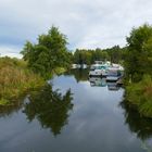 Spree in Brandenburg