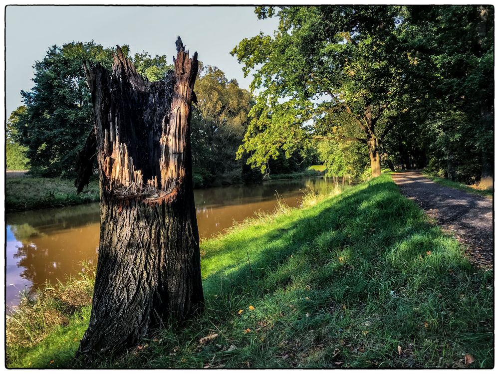 Spree in Spremberg