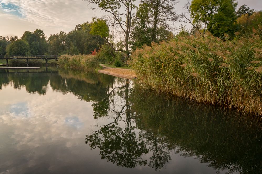 Spree-Lagune I - Lübben/Spreewald