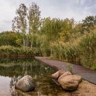 Spree-Lagune II - Lübben/Spreewald