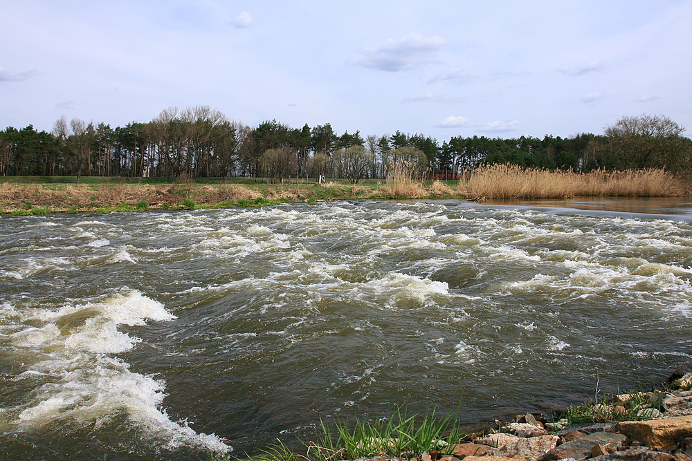 Spree Niagara...