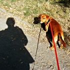 User Profile Photo