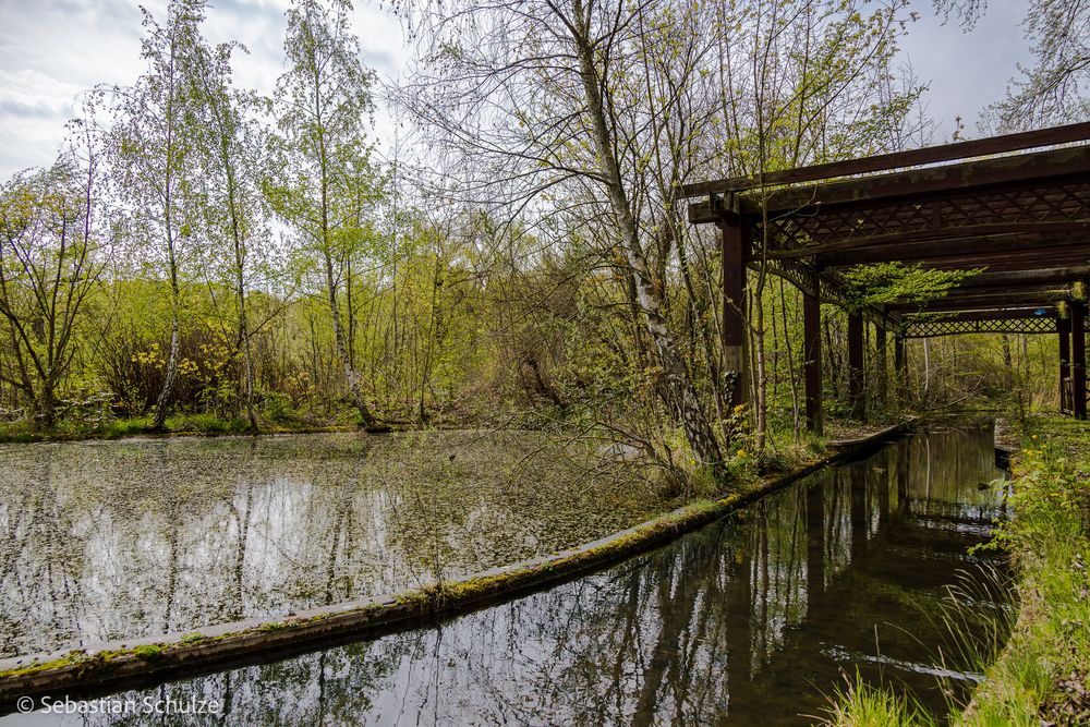 Spreepark im Wandel der Zeit 2023 X