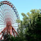 Spreepark .... Riesenrad