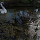 Spreepark-Schwan