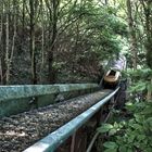 Spreepark wildwasserbahn erste hürde