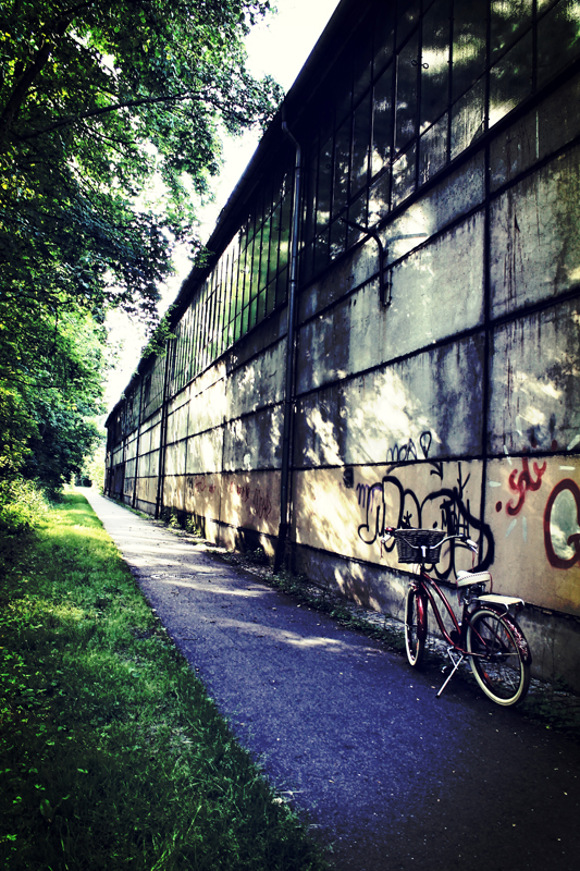 Spreeradweg in Obergurig