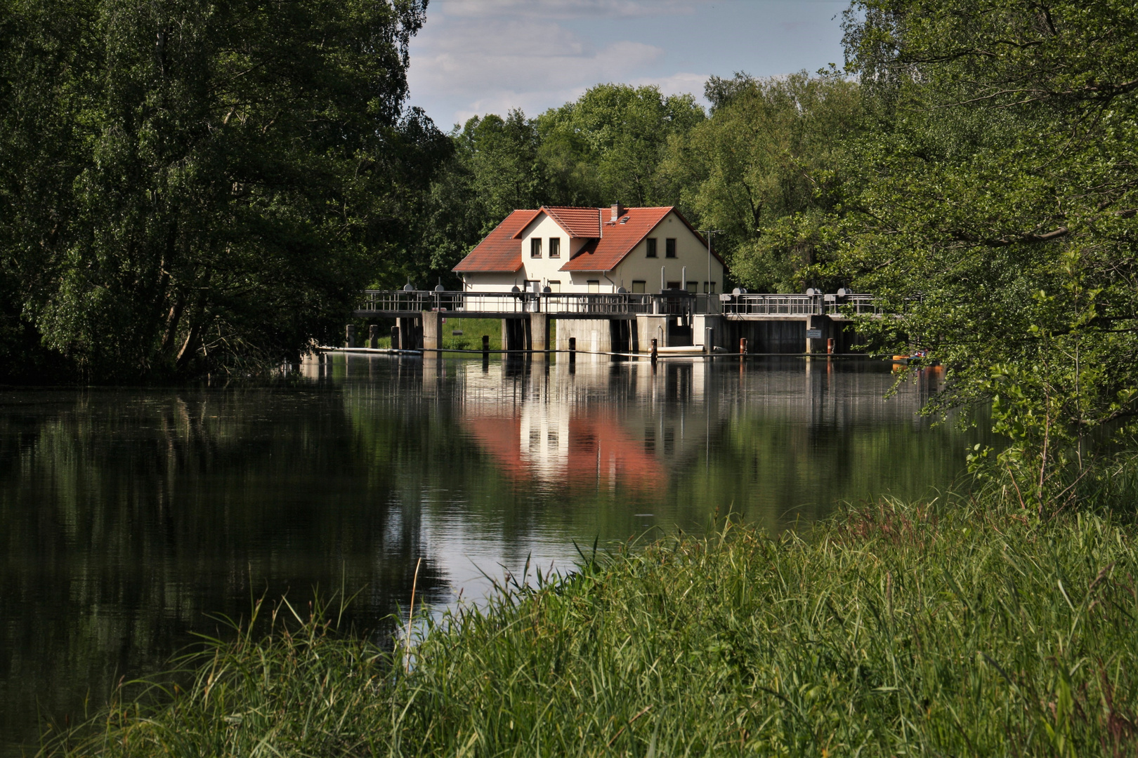 Spreewälder Spiegelung