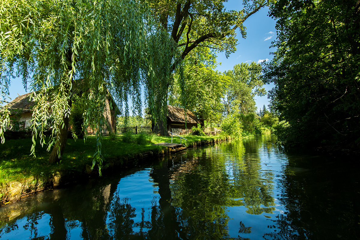 Spreewald