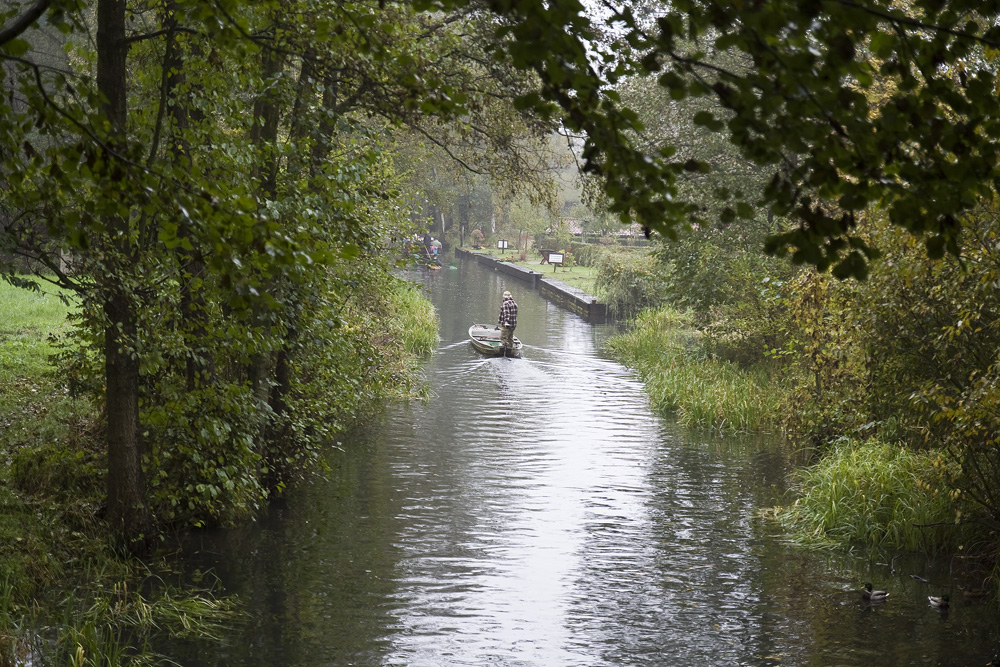 Spreewald