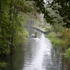 Spreewald