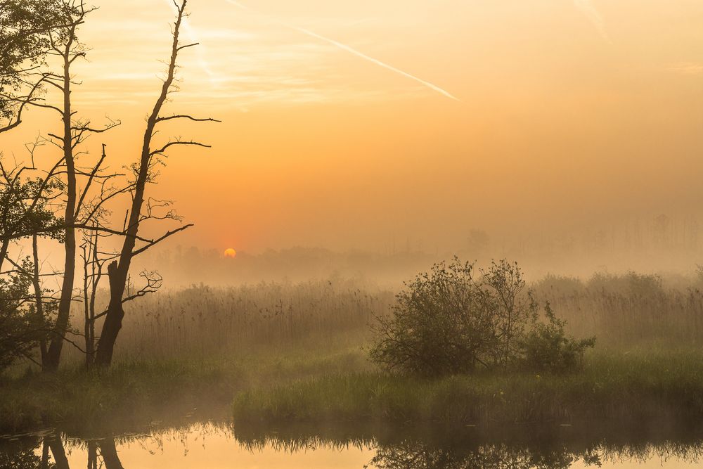 Spreewald [1]