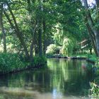 Spreewald #1