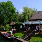 Spreewald 12