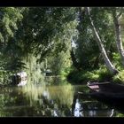 Spreewald