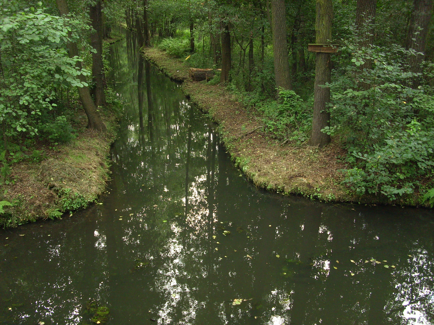 Spreewald