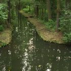 Spreewald