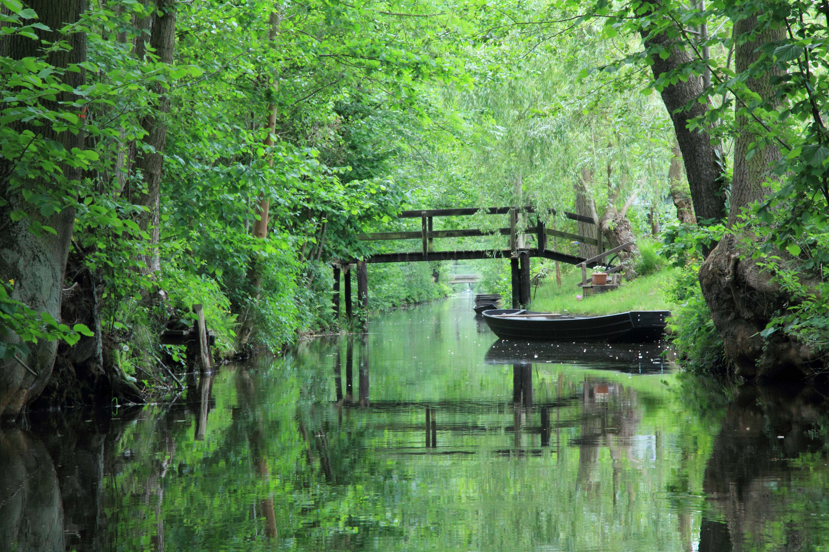 Spreewald