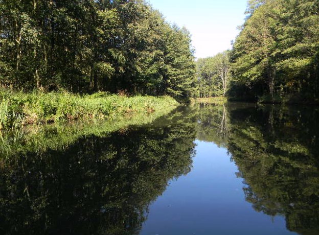 Spreewald