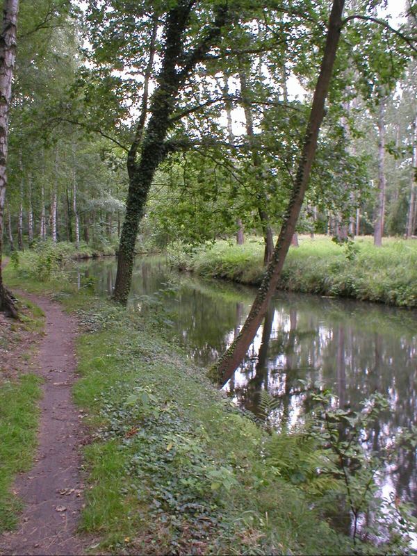 Spreewald 2