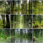 Spreewald-2013