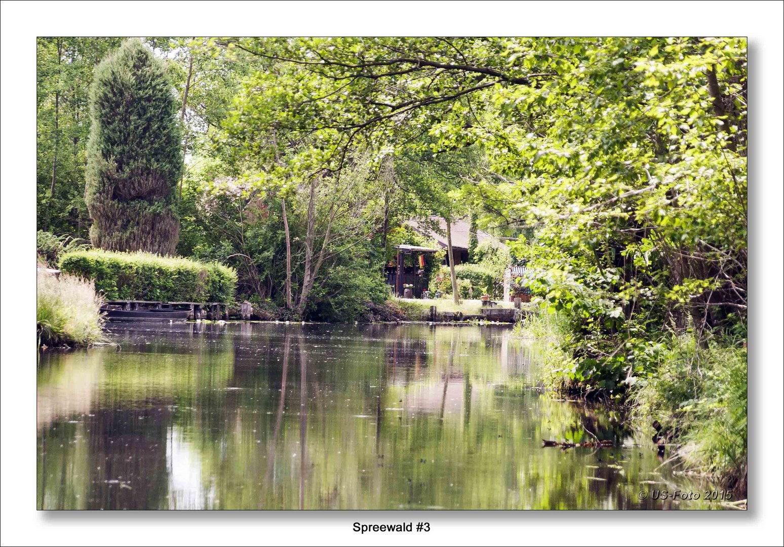 Spreewald #3