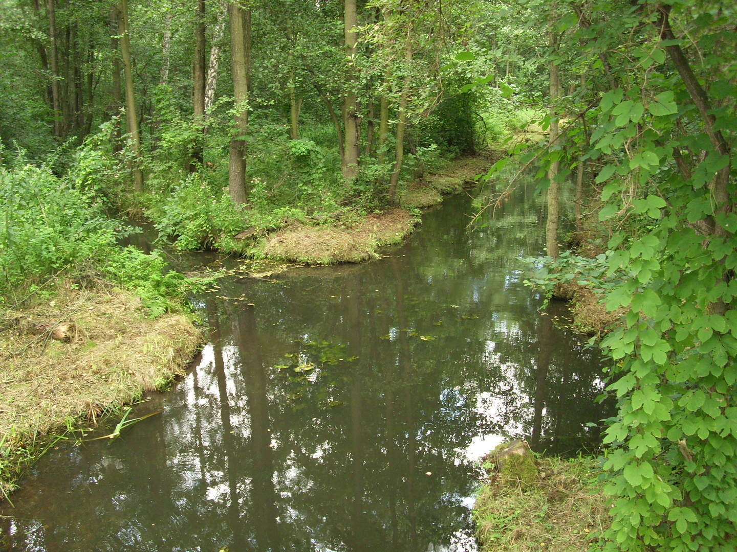 Spreewald