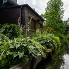 Spreewald 