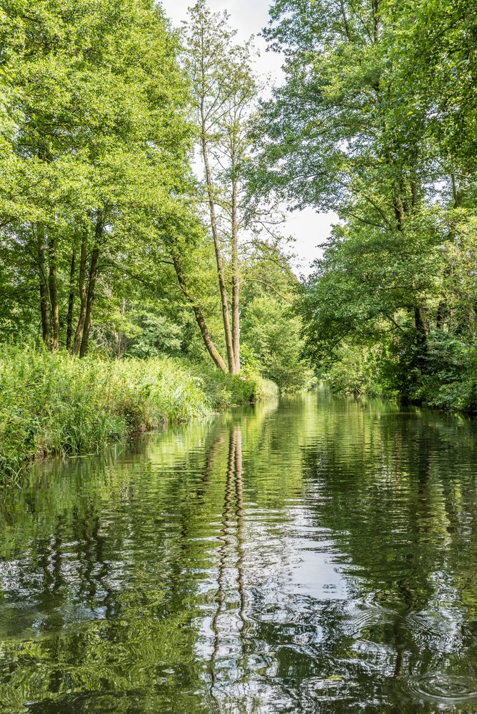 Spreewald