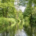 Spreewald