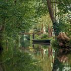 Spreewald