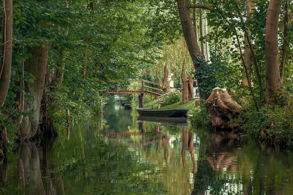 Spreewald Foto & Bild | world, brandenburg, spreewald ...