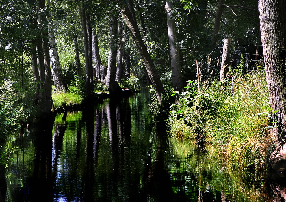 Spreewald