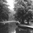 Spreewald