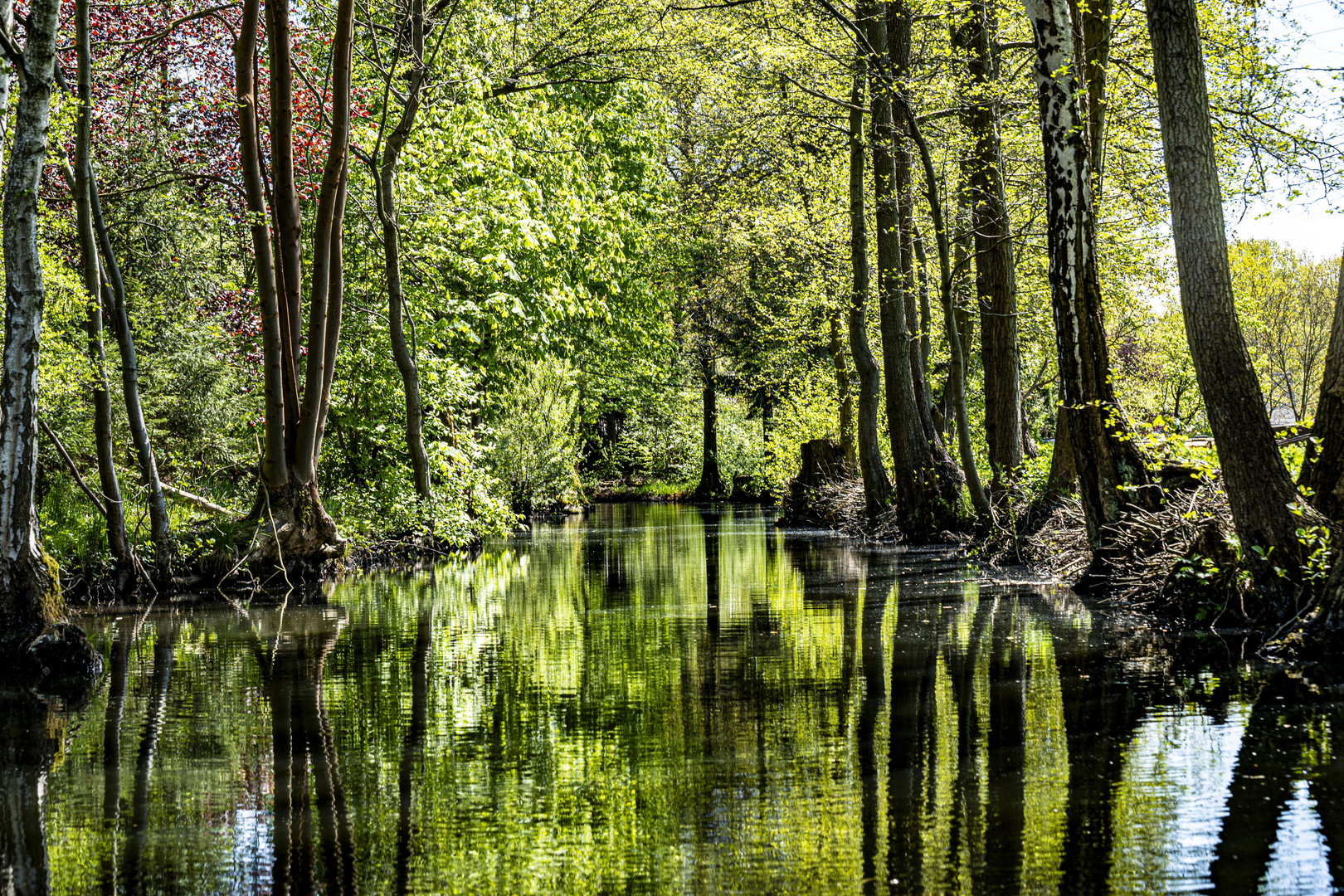 Spreewald