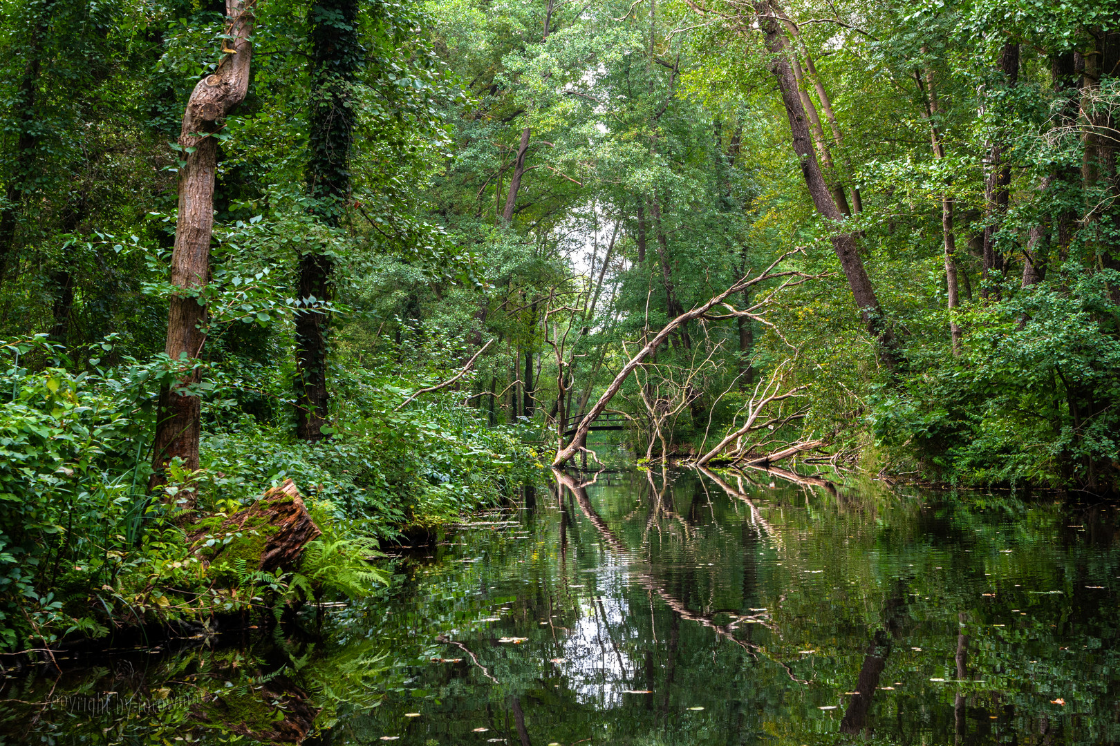 Spreewald