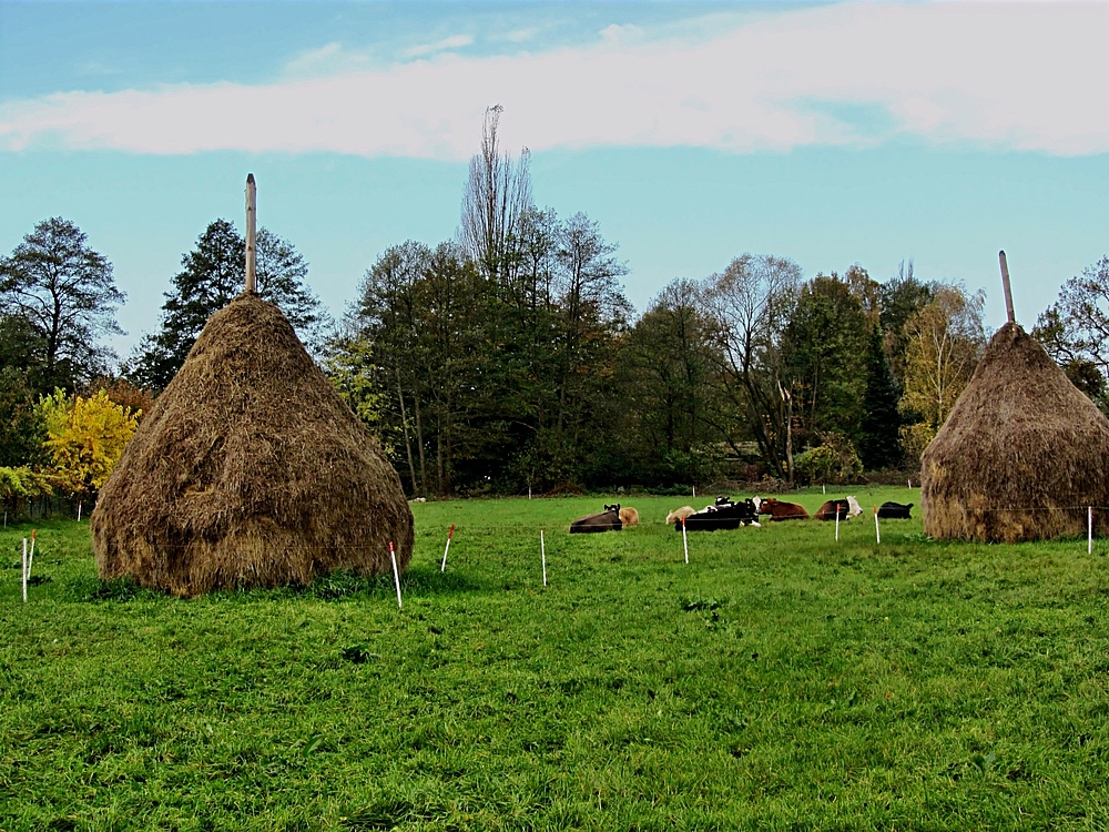 Spreewald....