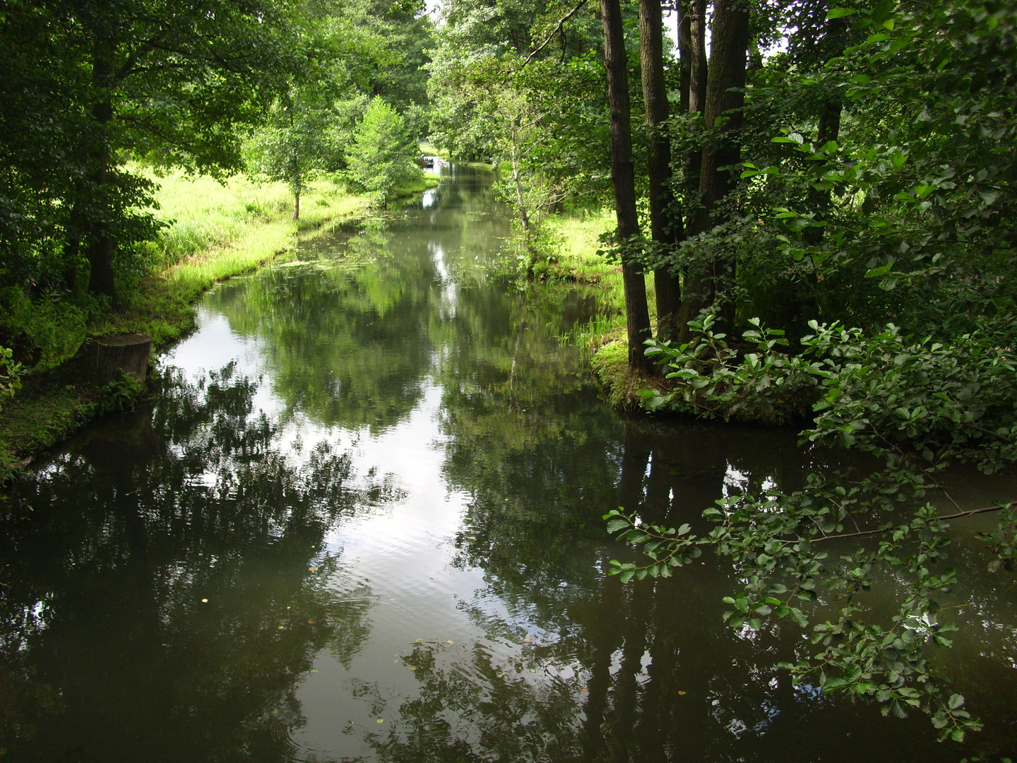 Spreewald