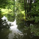 Spreewald