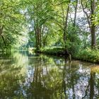 Spreewald