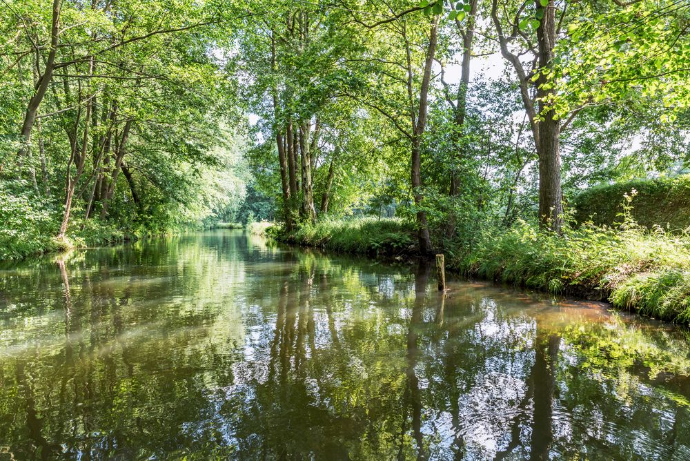 Spreewald