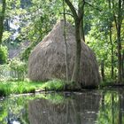 Spreewald